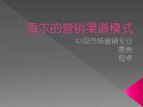 海尔的营销渠道模式