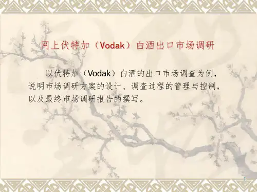 网上市场调研案例