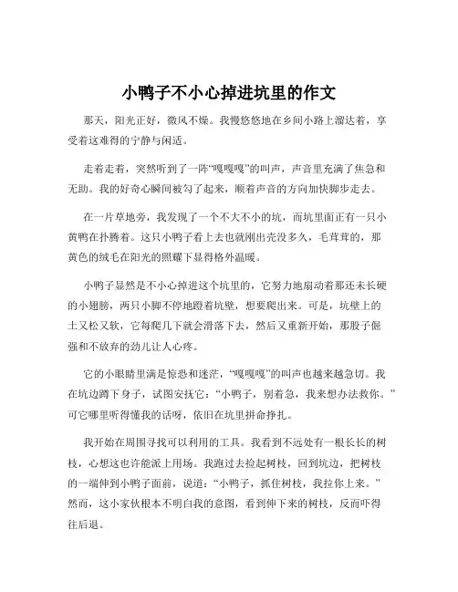 小鸭子不小心掉进坑里的作文