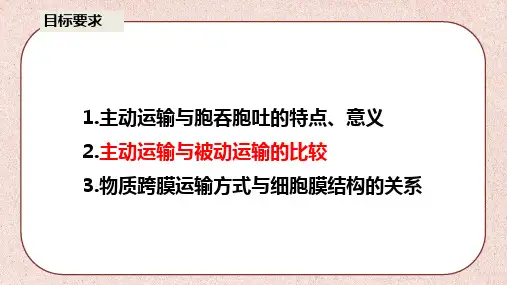 主动运输与胞吞、胞吐课件-高一上学期生物人教版必修1