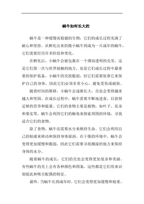 蜗牛如何长大的