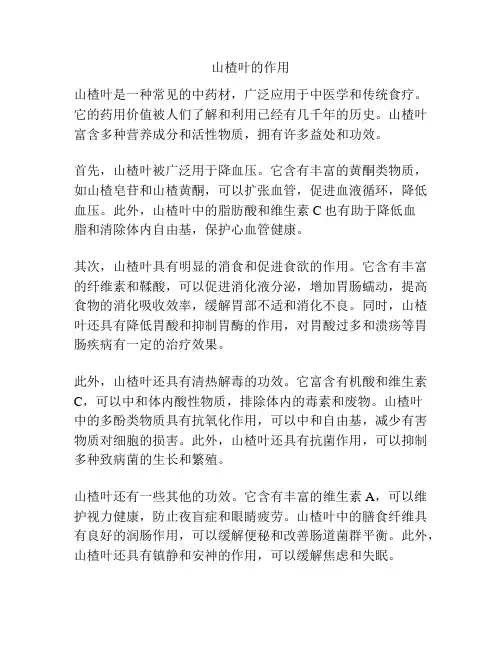 山楂叶的作用