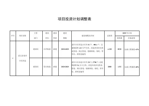 项目投资计划调整表
