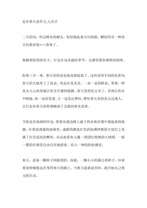 走在春天里作文,七百字