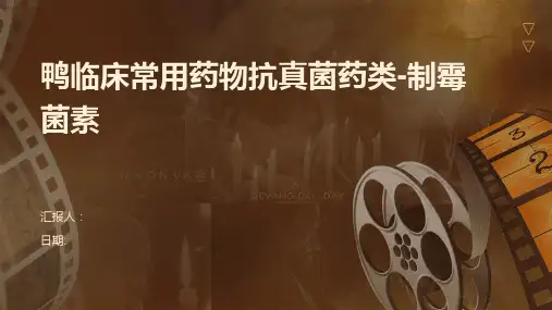鸭临床常用药物抗真菌药类-制霉菌素