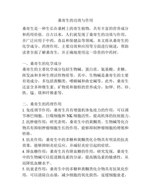 桑寄生的功效与作用