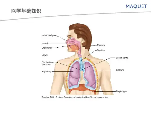 医学基础知识(二)  ppt课件