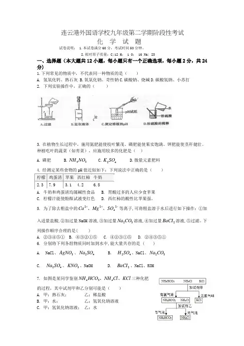江苏省连云港市外国语学校九年级2018--2019学年度第二学期化学第一次月考