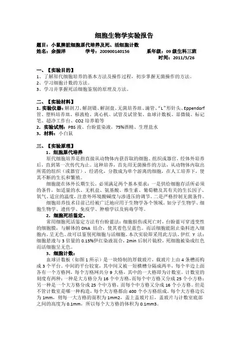 小鼠脾脏细胞原代培养及死、活细胞计数
