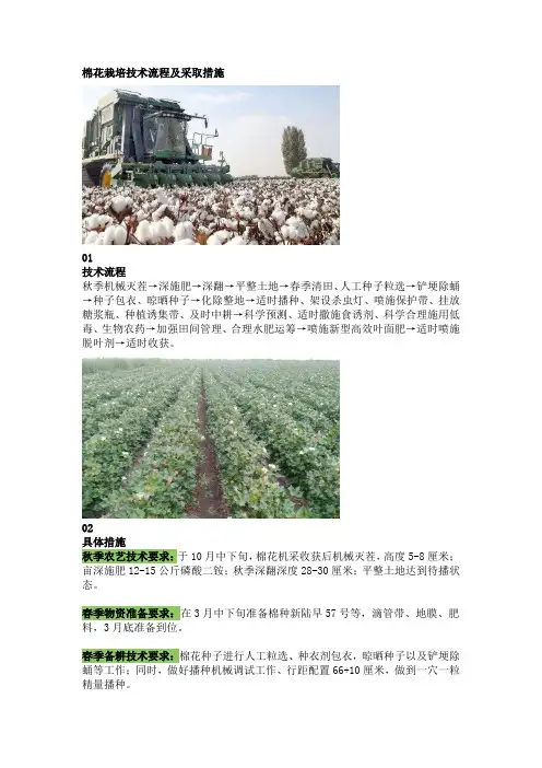 棉花的栽培技术流程及绿色防控措施
