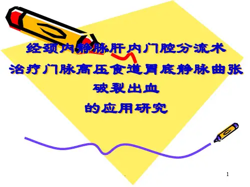 TIPS技术报告ppt演示课件