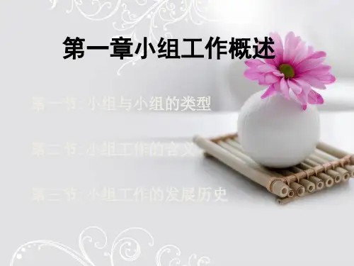 第一章小组工作概述ppt课件