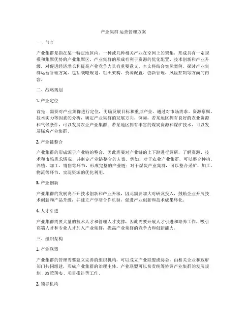 产业集群 运营管理方案