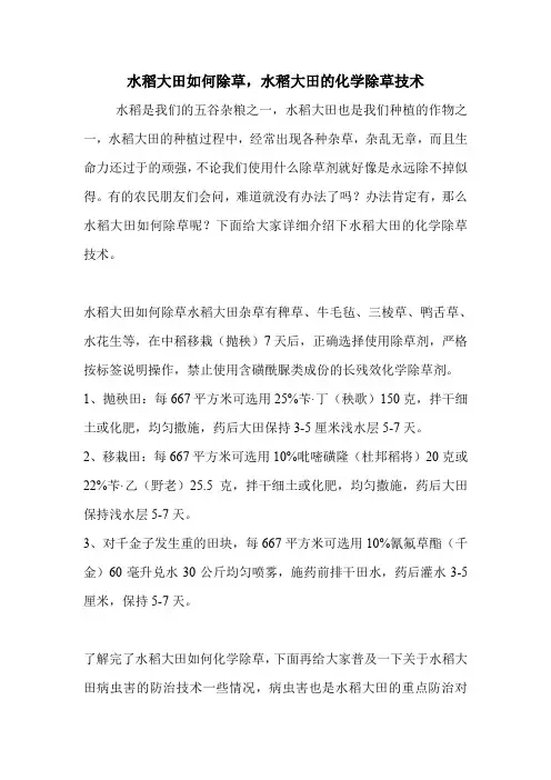 水稻大田如何除草,水稻大田的化学除草技术