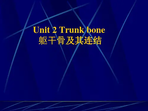 人体解剖学：2 躯干骨及其连接