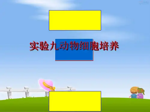 最新实验九动物细胞培养PPT课件