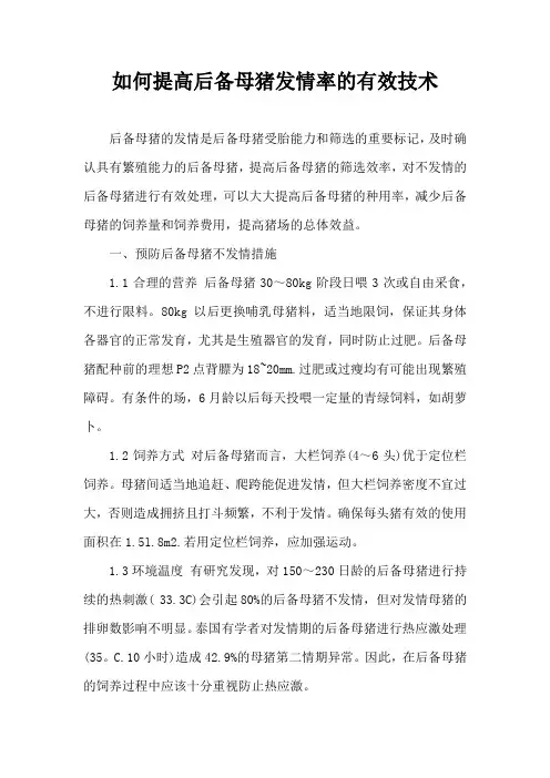 如何提高后备母猪发情率有效技术