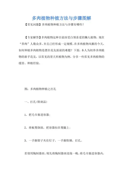多肉植物种植方法与步骤图解