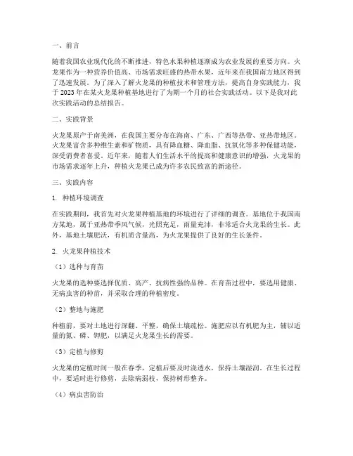 火龙果种植社会实践报告
