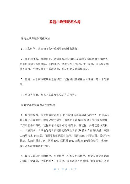 盆栽小玫瑰花怎么养