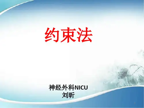 约束法PPT精选课件