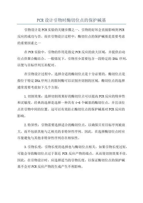 PCR设计引物时酶切位点的保护碱基