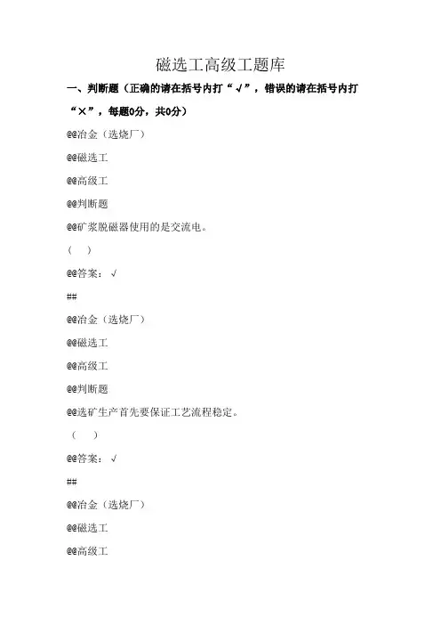 磁选工理论知识合并卷(高级)剖析
