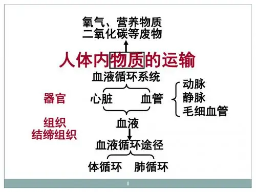 人体内物质的运输复习ppt课件
