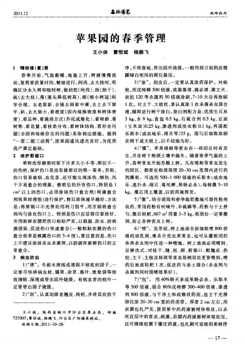 苹果园的春季管理