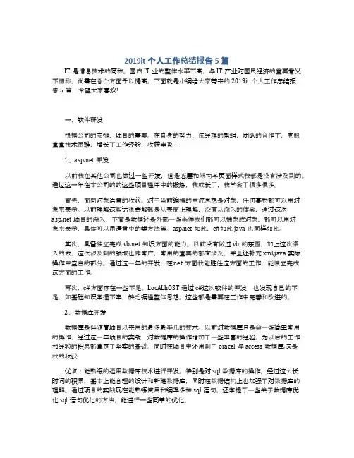 2019it个人工作总结报告5篇