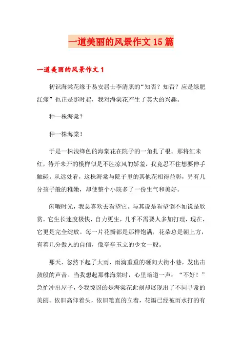 一道美丽的风景作文15篇