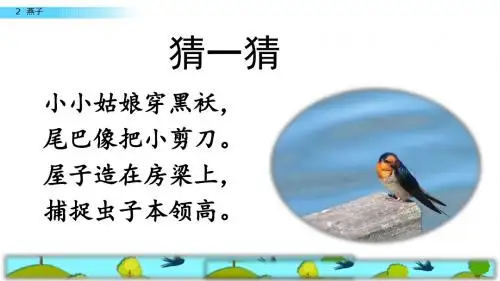 三年级下册课件第1单元 2  燕子 人教 部编版  共52张PPT