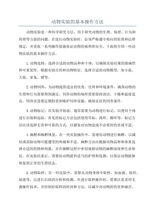动物实验的基本操作方法