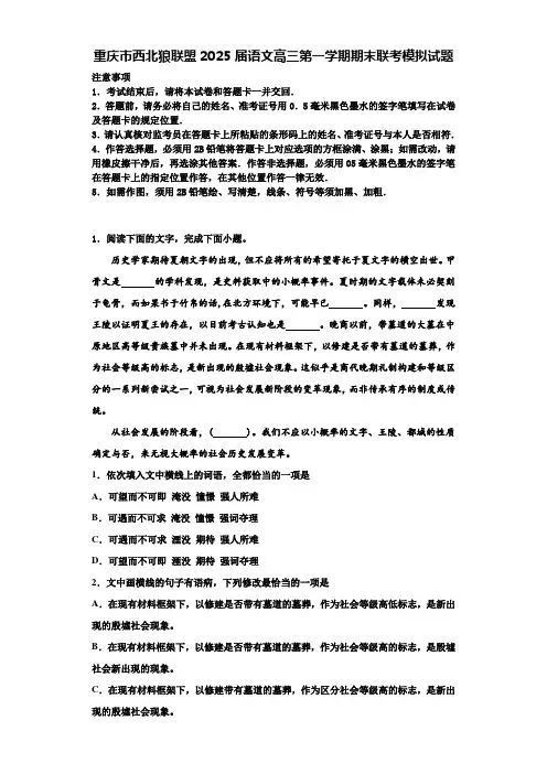 重庆市西北狼联盟2025届语文高三第一学期期末联考模拟试题含解析
