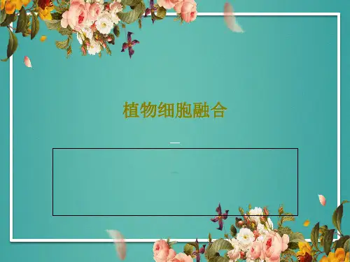 植物细胞融合共50页PPT