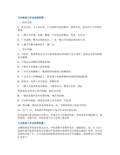 2023年卫生检查工作总结简短(十篇)