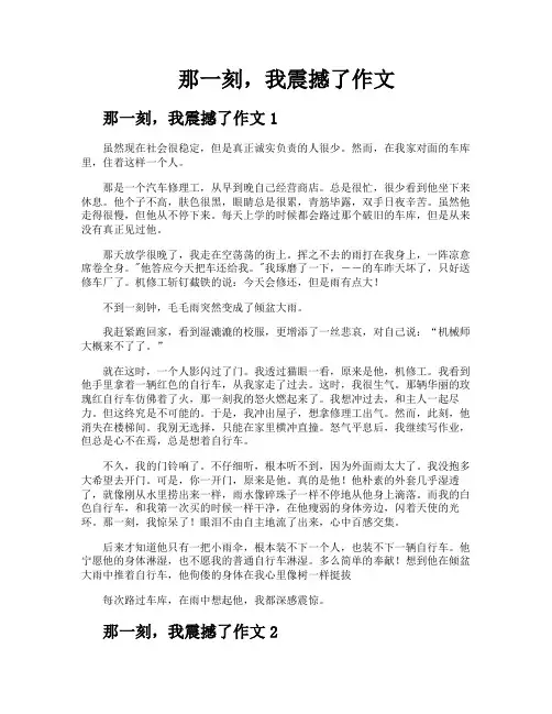 那一刻我震撼了作文