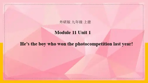 Module11Unit1课件外研版英语九年级上册