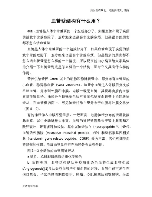 血管壁结构有什么用？