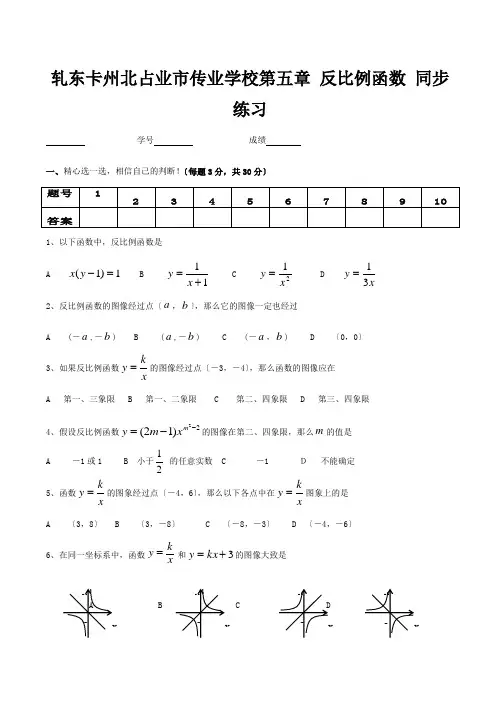 九年级数学上册第五章 反比例函数 同步练习 试题