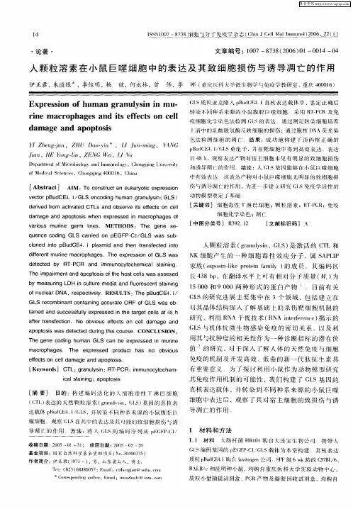 人颗粒溶素在小鼠巨噬细胞中的表达及其致细胞损伤与诱导凋亡的作用