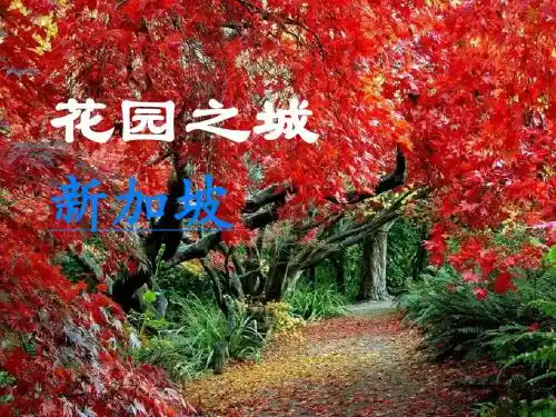 新加坡