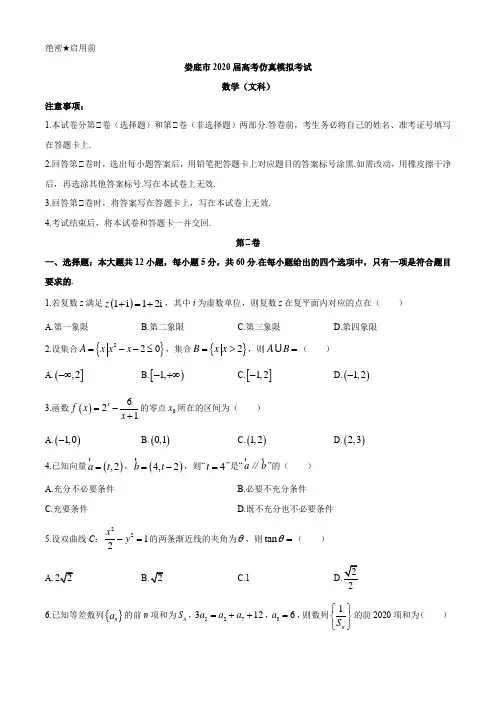 湖南省娄底市2020届高考仿真模拟考试数学(文科)试题