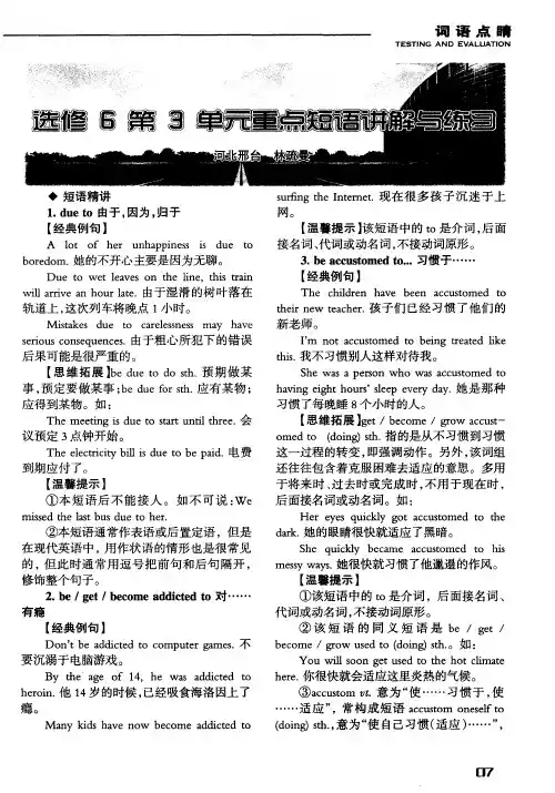 选修6第3单元重点短语讲解与练习
