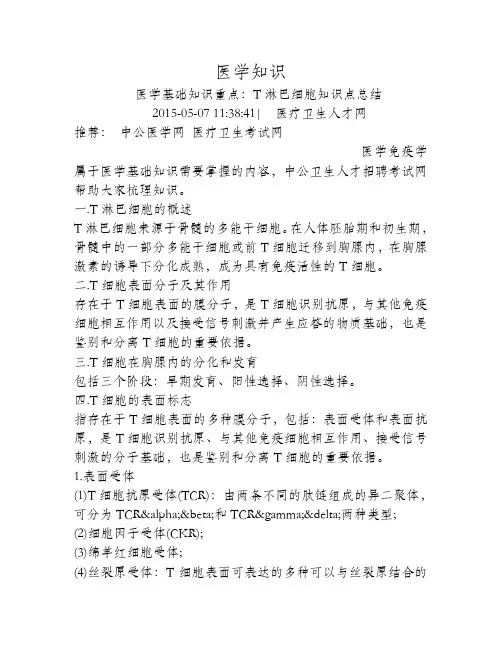 T淋巴细胞知识点总结