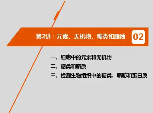 2025届高考生物一轮复习：第2讲 元素、无机物、糖类和脂质