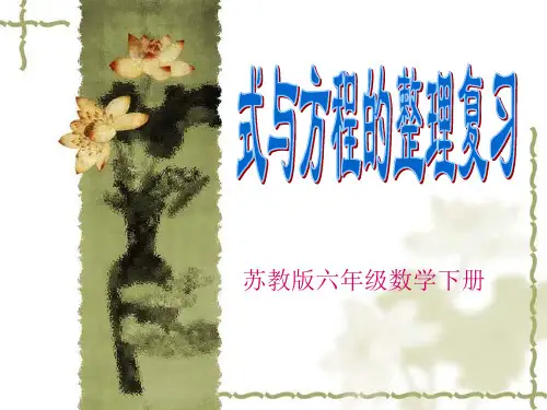 苏教版小学数学六年级式与方程总复习的课件