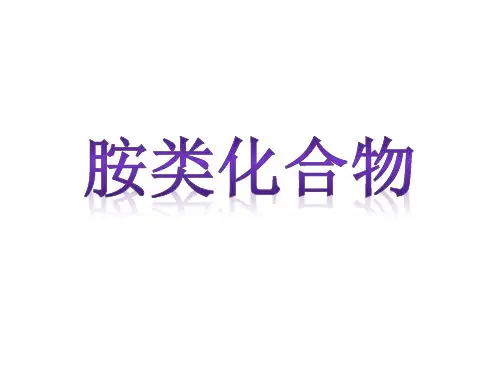 胺类化合物   第一组