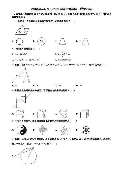 西藏拉萨市2019-2020学年中考数学一模考试卷含解析