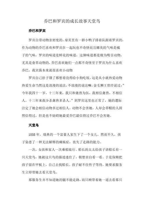 乔巴和罗宾的成长故事天堂鸟